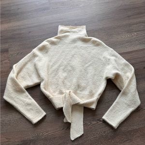 Aritzia sweater